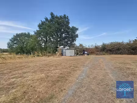 terrain sainte florence 5015 m²