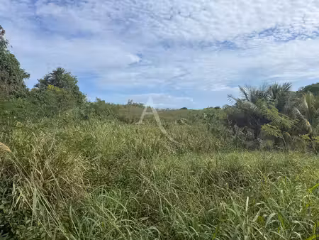 parcelles à bâtir d'exception au calme proche de bois jolan