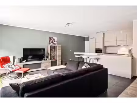 appartement spacieux avec terrasse et garage