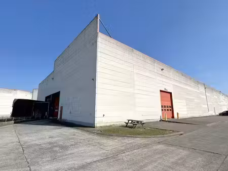 bien professionnel à louer à mechelen € 1.350 (lr6e3) - cd-vastgoed | zimmo