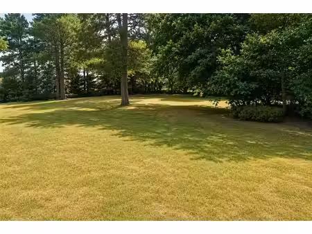 terrain