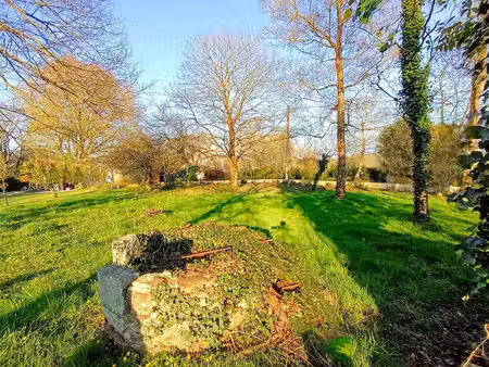 terrain