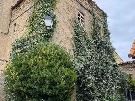 partie de château avec garage et petit jardin
