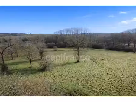 maison mitoyenne en pierres à rénover avec 2 hectares de terrain plat à carentoir – idéal 