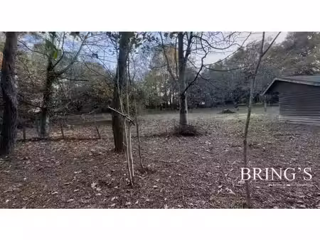 terrain -cub favorable -spacieux et arboré de 4000 m²