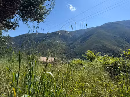 terrain à vendre occhiatana 623m2 118 000€