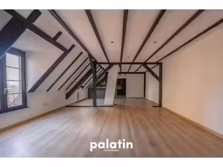 immobiliere le palatin