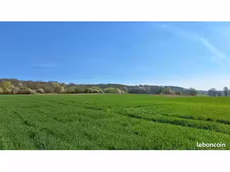 terrain 439 m² hirsingue