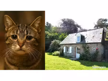 recherche location maison