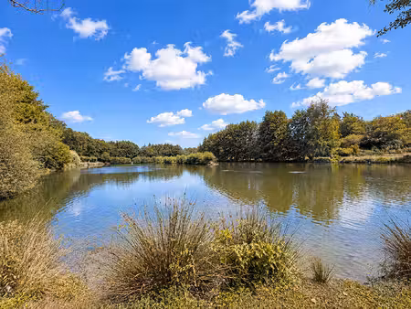 haute vienne - superbe propriété avec étang de pêche à la carpe conforme et 2 5 hectares d