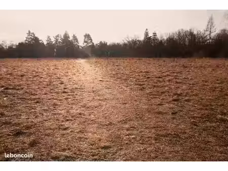 bonjour  je cherche un terrain de + ou - 1hectare