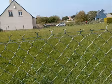 terrain a bâtir a criel sur mer un terrain de 480m2 et l'autre 600m2