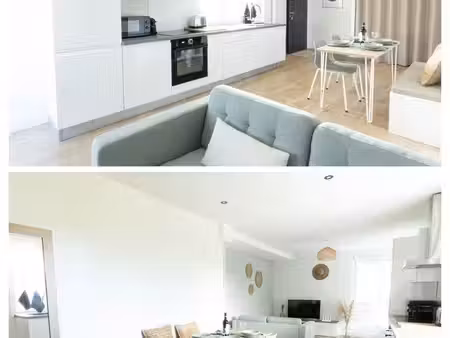 t2 meublé 50 m² - internet/netflix/terrasse/parking/commerces à pieds