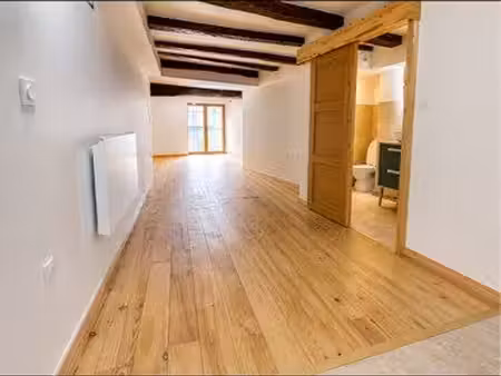appartement meublé 53 m² – la buisse – parking