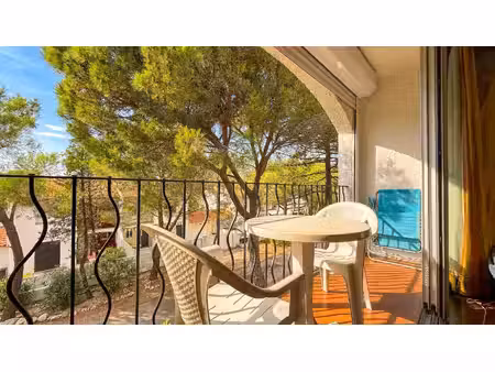 appartement argeles sur mer 2 pièces 38.73 m2