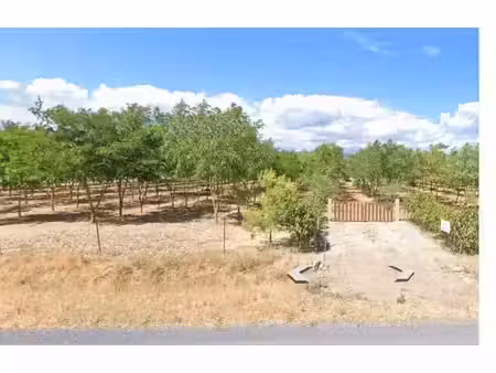 terrain agricole