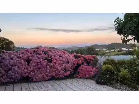 maison hasparren - 7 chambres - 261m²