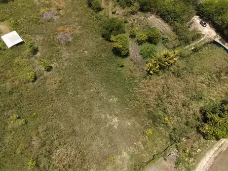 vente terrain  1520.32m²  sainte