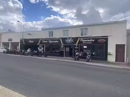 vente immeuble 8 pièces 500 m² à oulmes (85420)  261 000 €