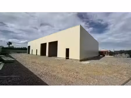 location local d’activités perpignan 66000 100m²