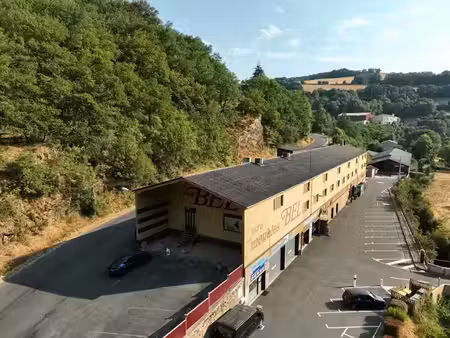 vente immeuble 32 pièces 1661 m² à coupiac (12550)  98 000 €