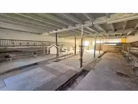 vente immeuble 0 pièces 173 m² à haimps (17160)  25 000 €