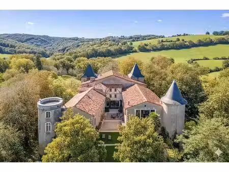 vente château 18 pièces 1000 m² à betchat (09160)  2 300 000 €