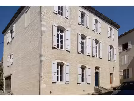 somptueuse maison de ville avec jardin et dépendances