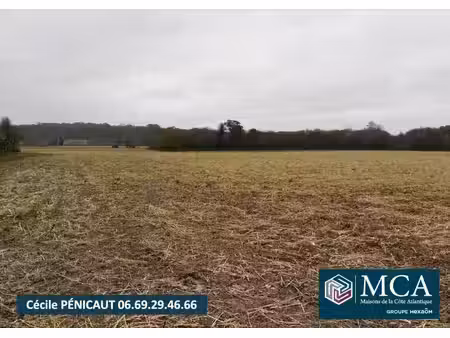 terrain à bâtir à mimbaste (40350)