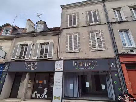achat immeuble 250m² romorantin lanthenay 41200