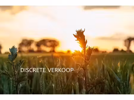 huis te koop in bellem