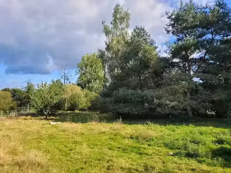 vente terrain 284 m² à andouillé-neuville (35250)  44 000 €