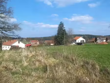 vente terrain 1450 m² à baccarat (54120)  28 600 €