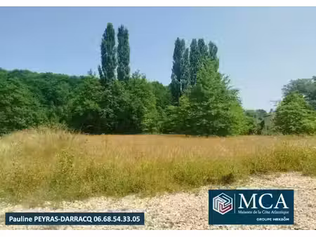 vente terrain 1499 m² à sainte colombe (40700)  30 500 €