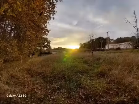 vente terrain 1400 m² à château-l'evêque (24460)  35 000 €