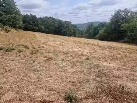 vente terrain 1293 m² à lissac-sur-couze (19600)  44 000 €