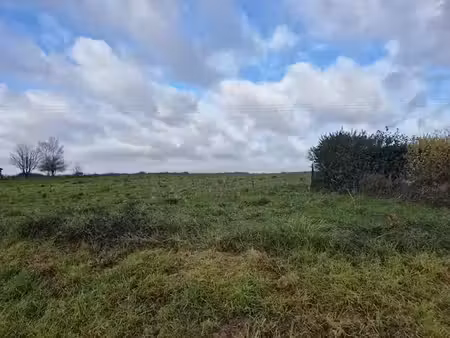 vente terrain 4500 m² à saunay (37110)  39 500 €