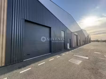 location locaux professionnels 0 pièces 230 m² à beziers (34500)  1 500 €