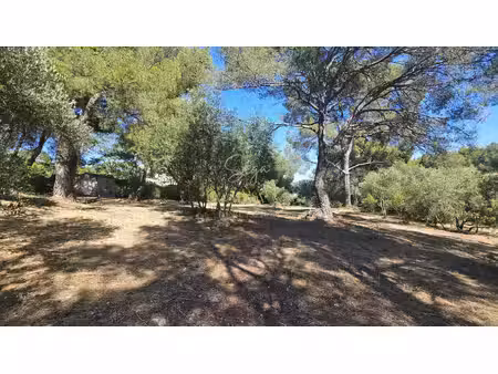 propriété de 6 000 m2 - deux maisons et terrain constructible