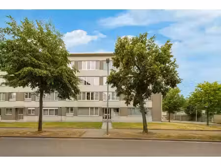 appartement te koop in edegem met 3 slaapkamers