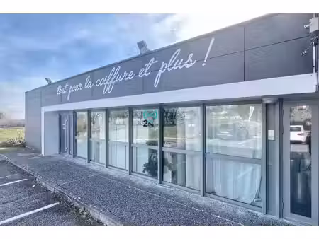 vente locaux professionnels 135 m² à rouffiac-tolosan (31180)  99 000 €