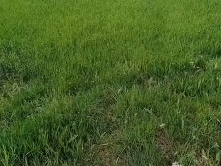 vente terrain à hennebont (56700) : à vendre / hennebont