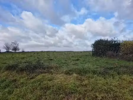 vente terrain 9235 m² saunay (37110)