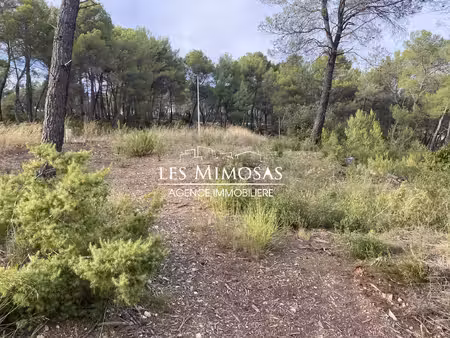 salernes  terrains à bâtir viabilisés dans lotissement