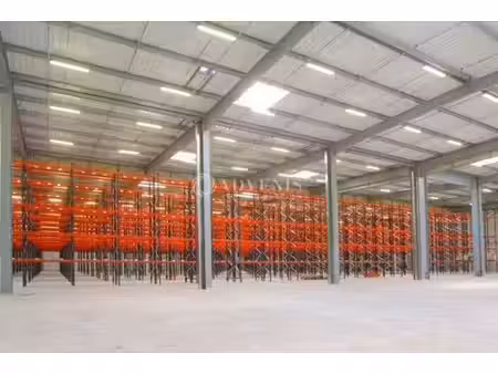 vente local d’activités le controis en sologne 41700 8600m²