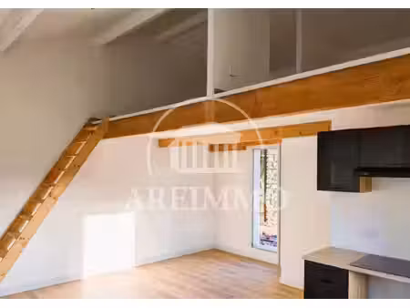 appartement type 1 de 29m² avec mezzanine et grande terrasse ?