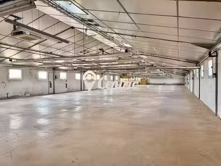 local professionnel de 3 000 m² sur un axe fréquenté