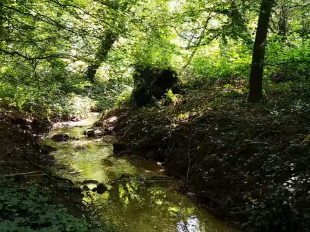 cadre bucolique pour ce domaine compose de 3 maisons sur 15 000 m2