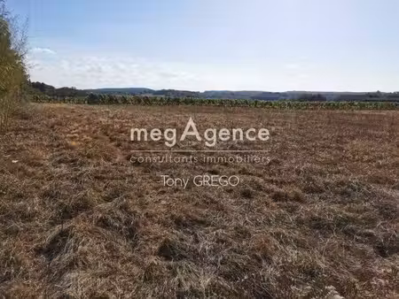tony grego consultant megagence