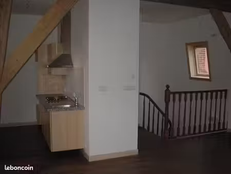 appartement style loft de 31m²